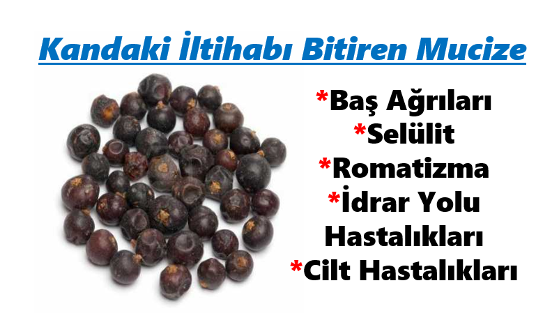 Kandaki İltihabı Yok Eden Doğa Üstü Meyve