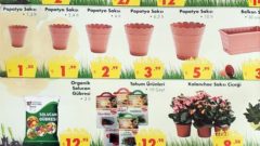 Şok Market 11 Şubat 2020 Aktüel İndirimli Ürünler Kataloğu