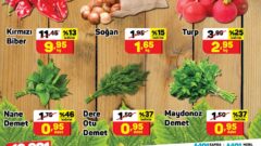 A101 Markette Bu Hafta Perşembe Günü Kaçırılmayacak Aktüel İndirimleri