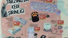 Bim Market 17 Aralık 2021 Aktüel İndirimli Ürünler Kataloğu