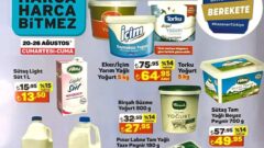 A101 26 Ağustos 2022 AKtüel İndirimli Ürünler Kataloğu