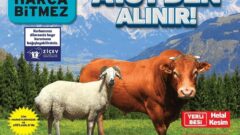 A101 Market    13 – 20 Haziran 2024 Aktüel İndirimli Ürünler Kataloğu