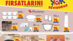 Şok Market 29 Kasım  2025 Aktüel İndirimli Ürünler Kataloğu